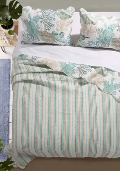 Dainty Home Discount Store -Dainty Home Discount Store Belk 1209